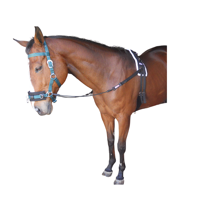 Side Reins Nylon Elastic Solo